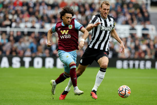 的年轻门将 的年轻门将